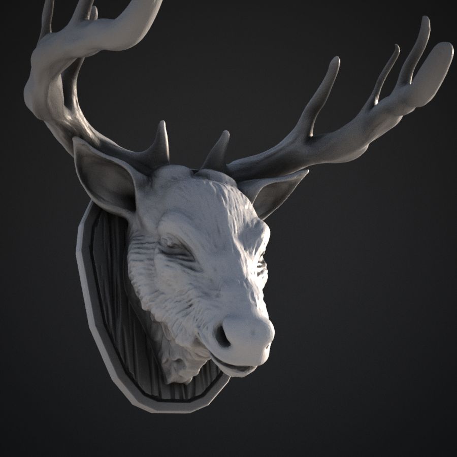  wall mount trophy pig snout decoration animal hunting deer stl mesh dnd 3dprint mini miniature